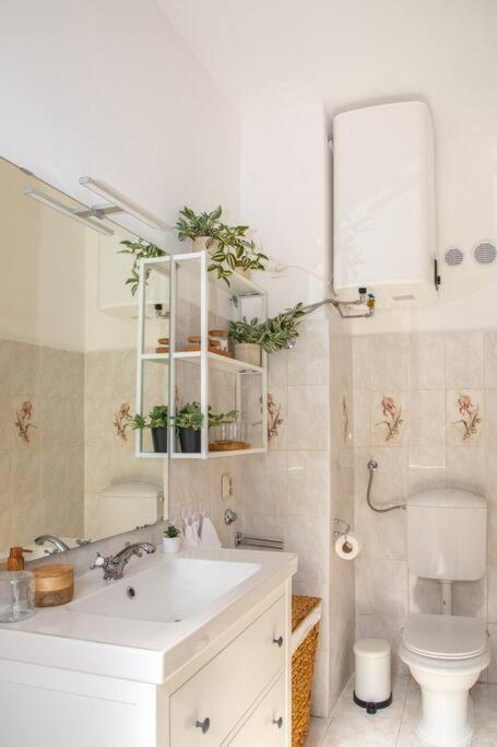 Brand New City Center Apartment Nostalgija Split Extérieur photo